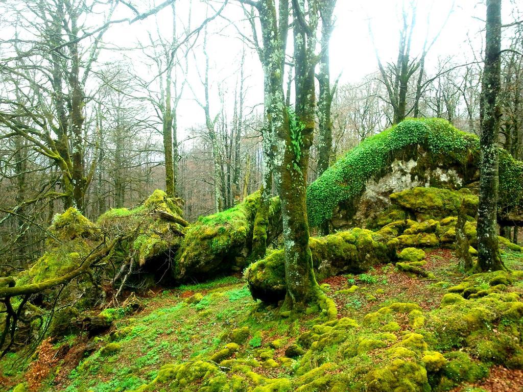 La Aldaia De Urbasa Ferienhaus *